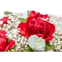 Kytice červených pivoněk